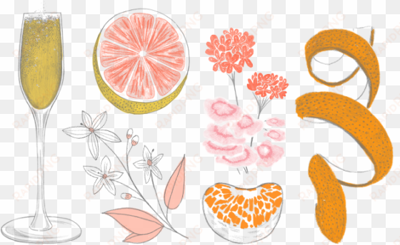 clip freeuse stock brunch clipart mimosa - commodity mimosa