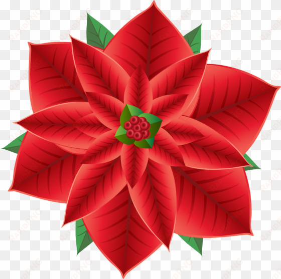 clip royalty free download christmas poinsettia transparent