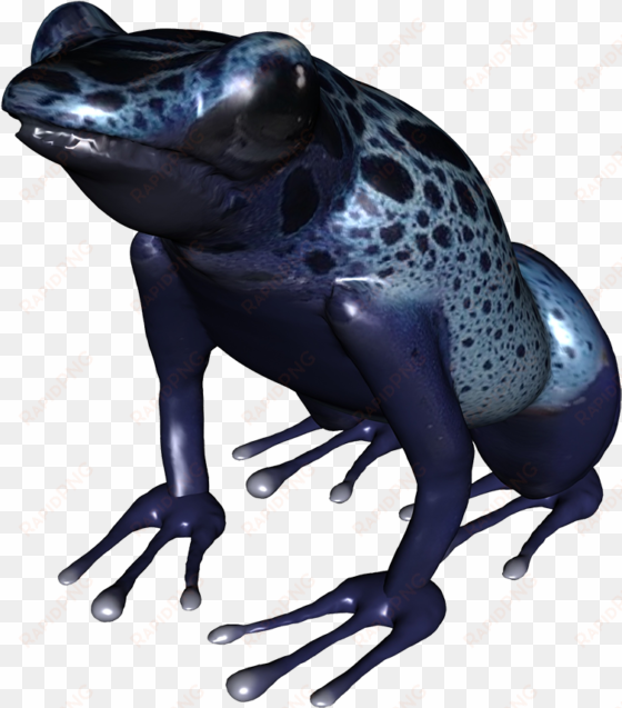 clip royalty free stock clip art underside of png blue - poison dart frog png