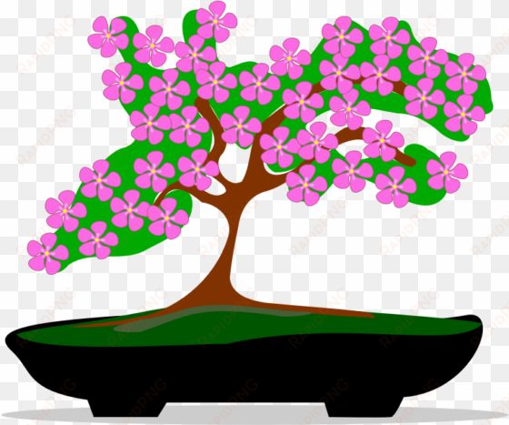 clipart - bonsai-01 - bonsai