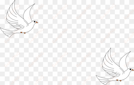 clipart dove clip art at clker com vector - sketch