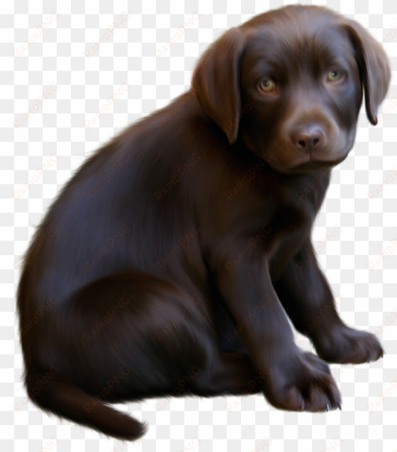 clipart download cute little with blue - brown dog transparent