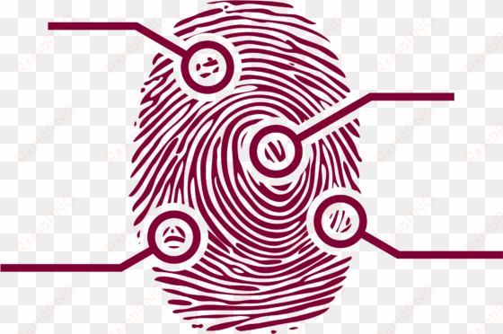 clipart - fingerprint - fingerprint clip art