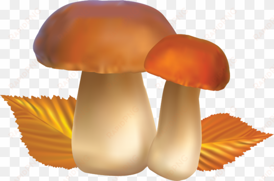 clipart food mushroom - Гриб Пнг