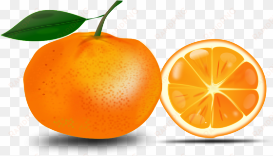 clipart free download slice of an orange printables - free clip art orange