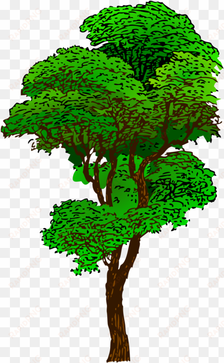 clipart jungle tree - tall tree clip art