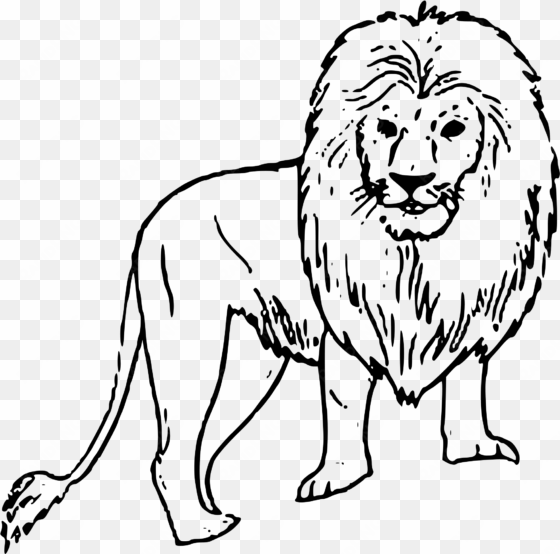 clipart - lion clipart black and white