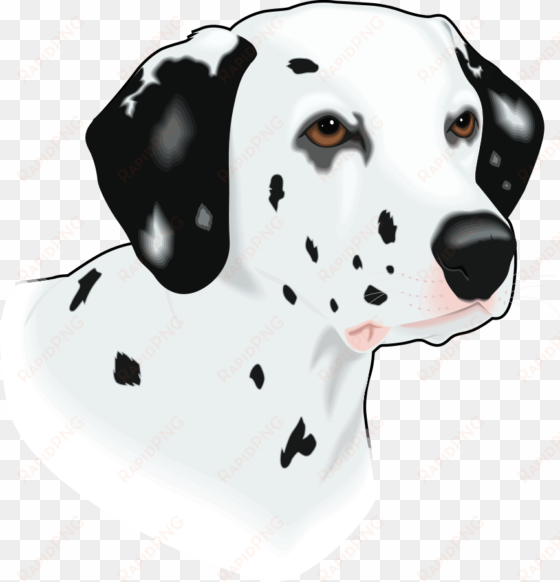 clipart png file tag list, clip arts svg file - dalmatian head clip art