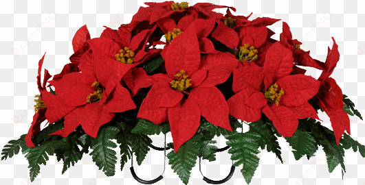 Clipart Resolution 533*533 - Christmas Poinsettias Images Png transparent png image