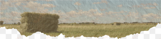 Clipart Royalty Free Library Sacramento County Farm - Natural Environment transparent png image