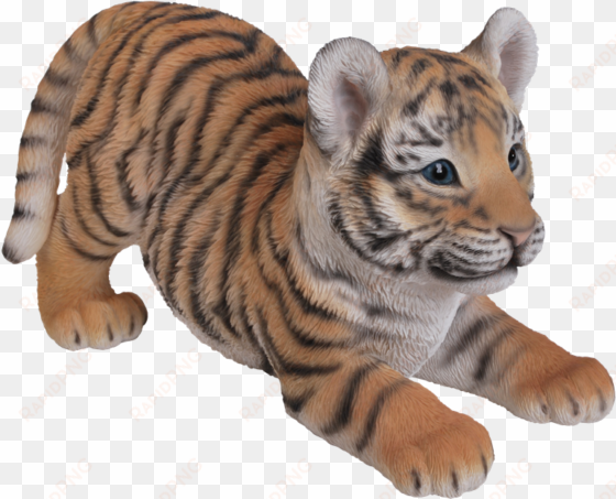clipart royalty free stock transparent tiger big cat - hi-line gift ltd. playing tiger cub figurine