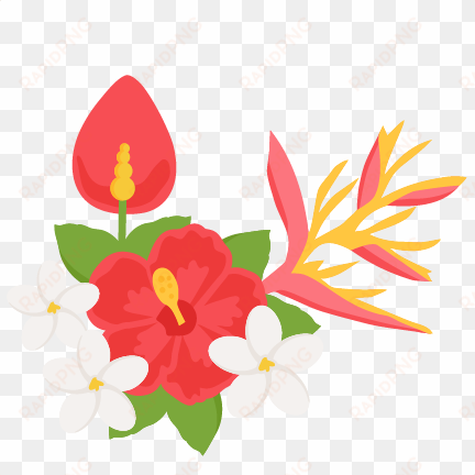 clipart tropical flowers - tropical flowers clipart png