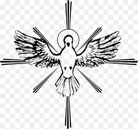 clipart white dove sketch - holy spirit dove drawing