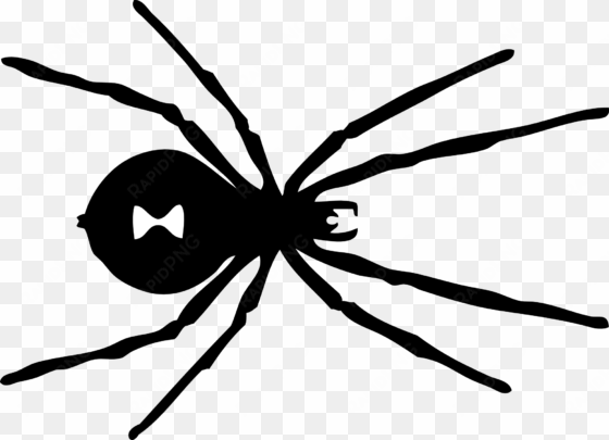 clipart winter concert snowflake treble 11 spider black - black widow spider black and white