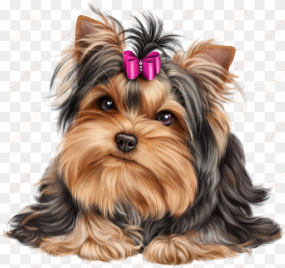 cliparts for free download and use - yorkshire terrier