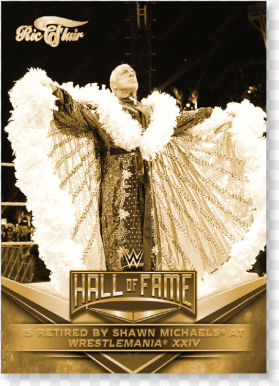 Close Zoom - Ric Flair Authentic Autographed Signed 8x10 Photo Wwe transparent png image