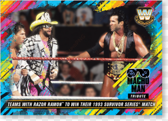 close zoom - survivor series (1993)