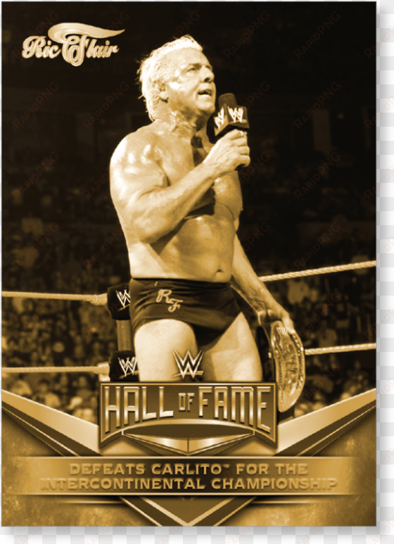 close zoom - wwe