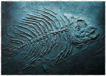 closeup of big fish skeleton fossils on bottom of sea - fossil