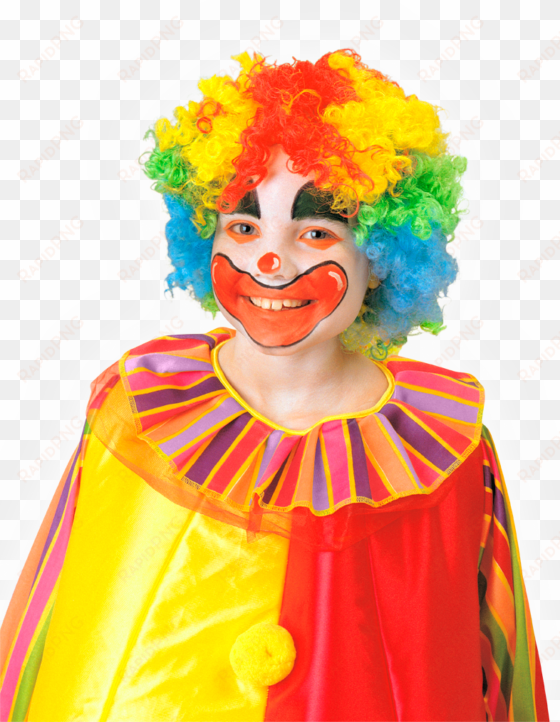 clown wig, , large - klovneparyk