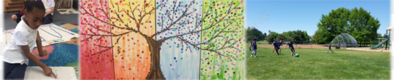 cmp images of trees and students playing and doing - student