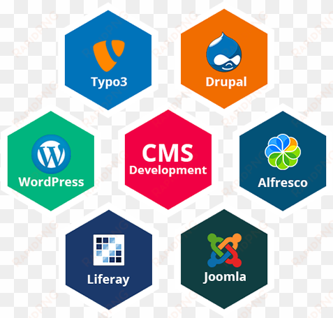 cms development - wordpress