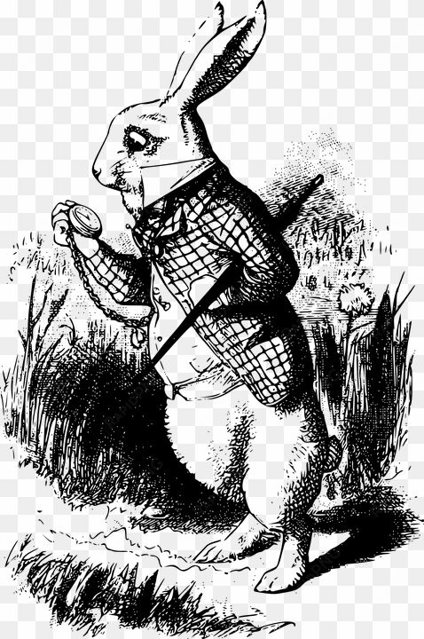 cnbc just reported that apple upgraded its apple watch - sir john tenniel white rabbit