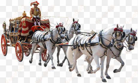 coach, team, quad, ceremony, solemnly - horse drawn carriage png