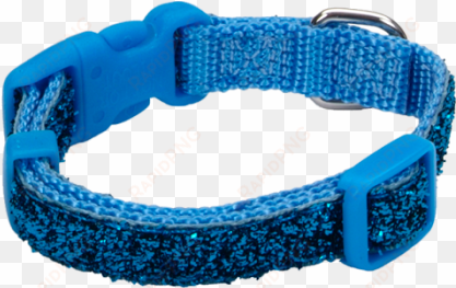 coastal pet products li'l pals adjustable dog collar - coastal pet products 6234 08 buz 3-8 collar (blue sparkle