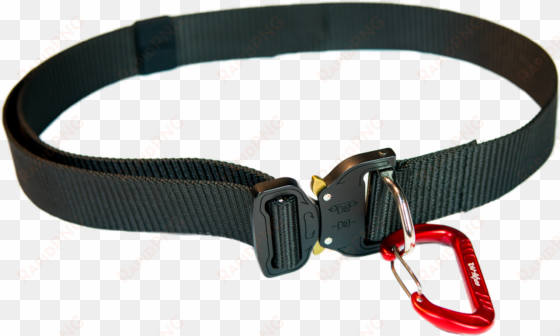 cobra clip dog collar vector library download - macramé