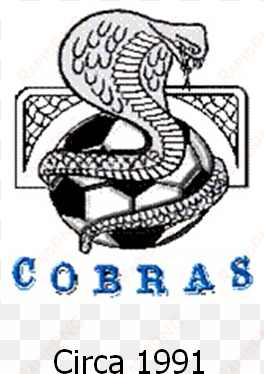 cobras logo 1991 - logo