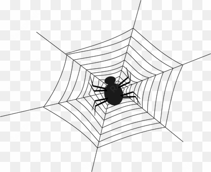 Cobweb Spider Spiderweb Spider's Web Web N - Png Spider transparent png image