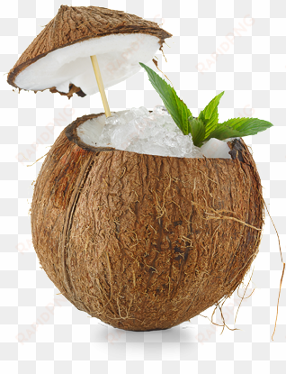 coconut - coconut cocktail