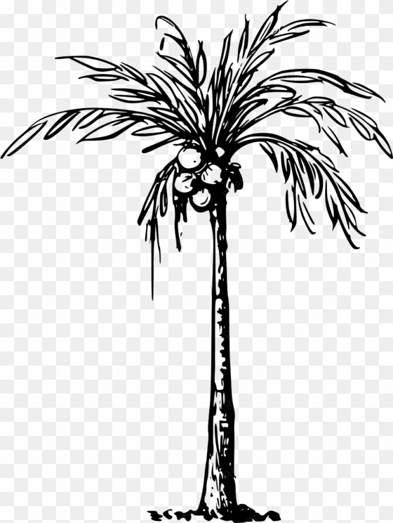 coconut palm svg black and white download - clip art of coconut tree