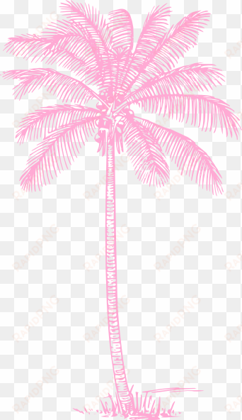 coconut tree pencil drawing