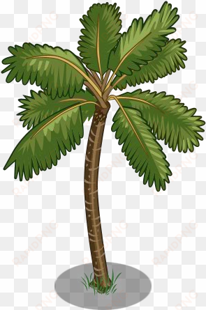 coconut trees icon