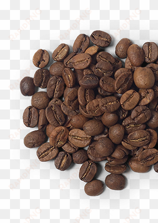coffee beans - coffee