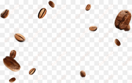 coffee beans png - coffee bean png
