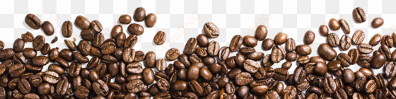 coffee beans png free download - coffee bean png transparent