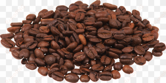 coffee beans png image - coffee recipes: the coffee connoisseur's cookbook