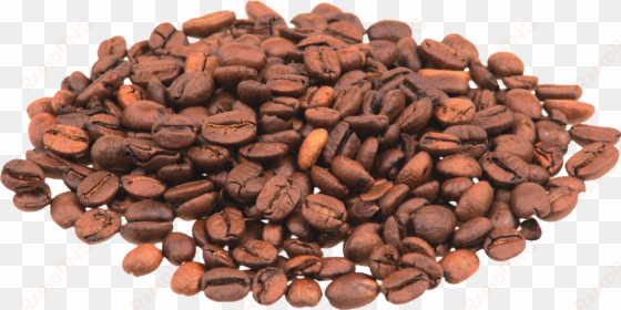 coffee beans png image - luwak coffee beans png