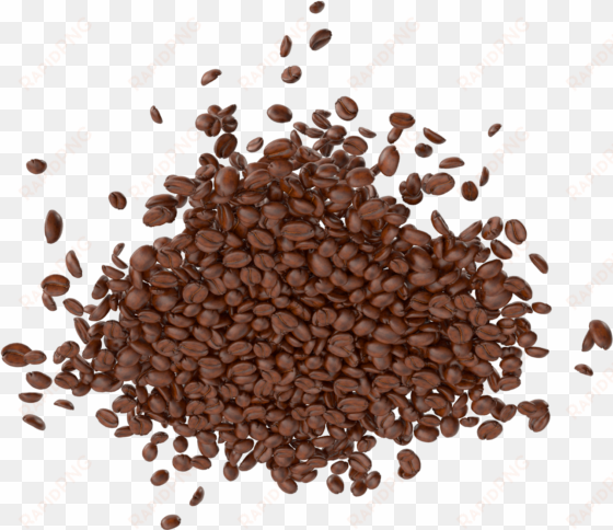 coffee beans png image - portable network graphics