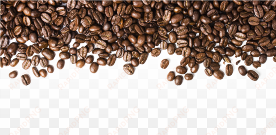 coffee beans png picture