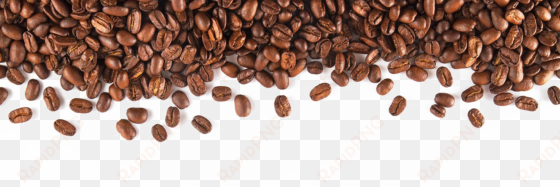 coffee beans png transparent image - coffee beans on transparent background