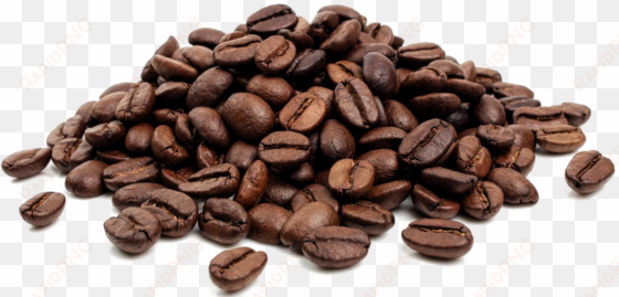 coffee beeradding java to your brew - png coffee bean