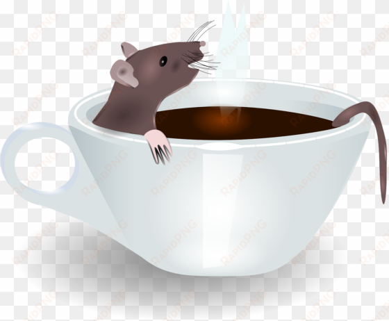 coffee, cup rat coffee morning steam bath rodent m - rat in a box clipart