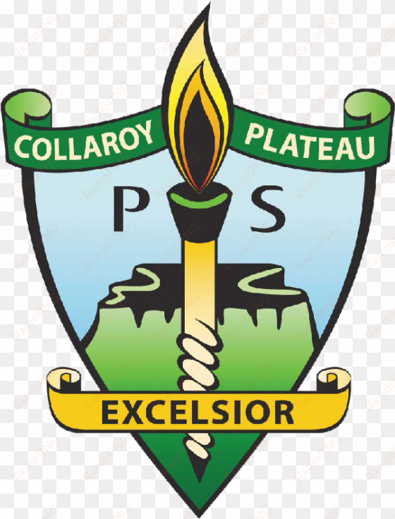 collaroy plateau public school