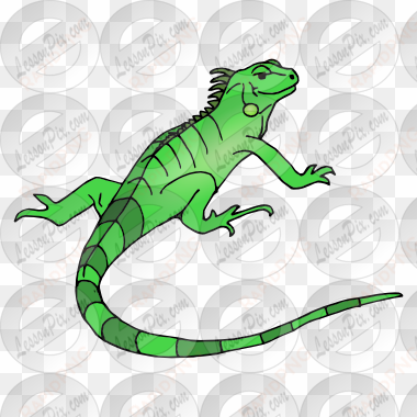 collection of free iguana drawing zoo animal download - clip art