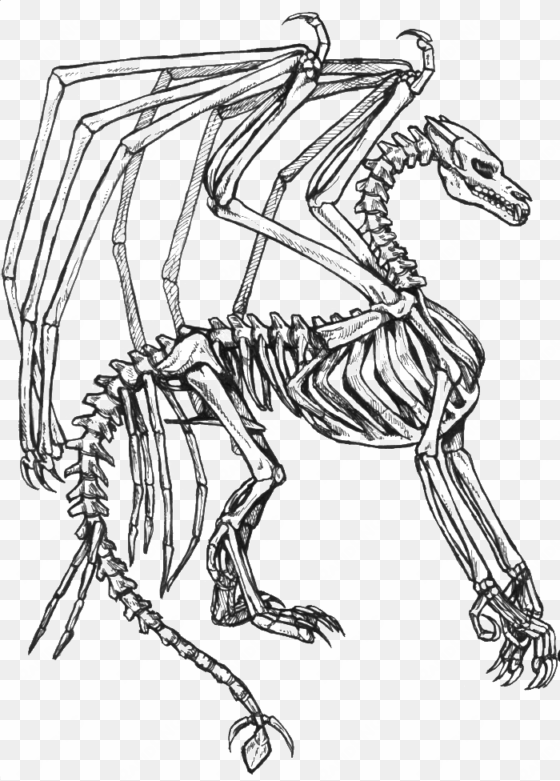 collection of free skeleton fantasy download on - coloring pages dragons bone