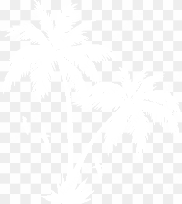 collection of free transparent white palm tree download - palm tree white png